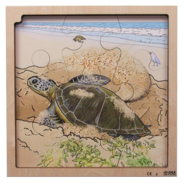Image sur Puzzle Le cycle de la vie de la tortue